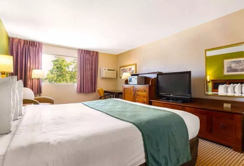 Отель Rodeway Inn