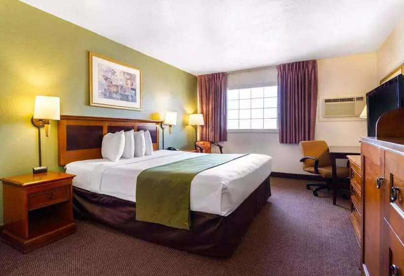 Отель Rodeway Inn