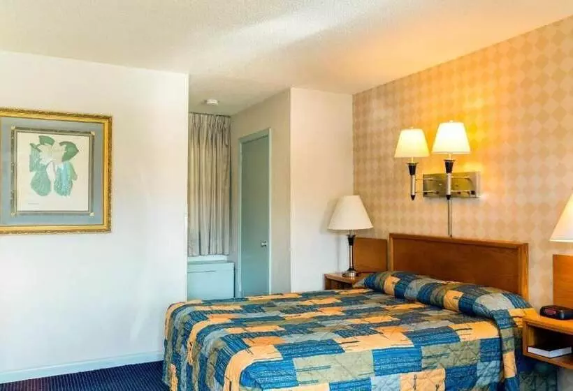 Motelli Budget Host Alexandria