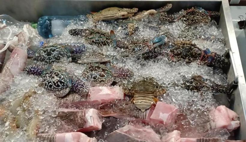 Hotel Seri Ratu & Spa