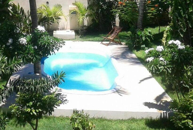 פנסיון Butterfly House