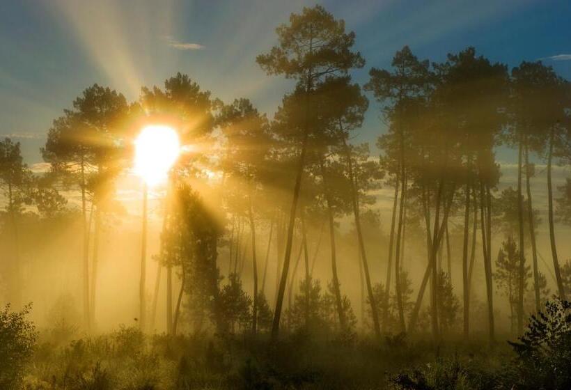 Résidence Goélia Les Jardins De L'oyat
