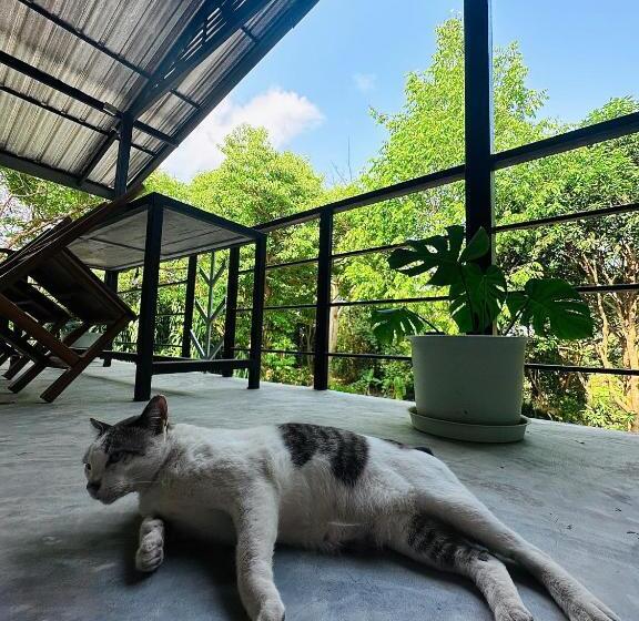 هاستل Live In Leaf Koh Tao