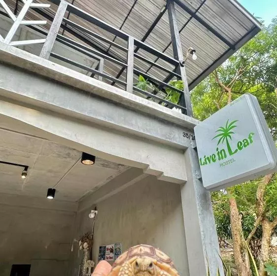 ユースホステル Live In Leaf Koh Tao