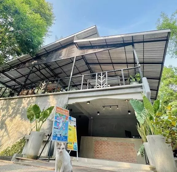 ユースホステル Live In Leaf Koh Tao