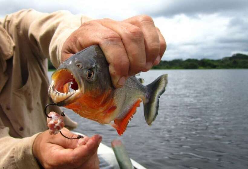 Hotel Anaconda Amazon Resort