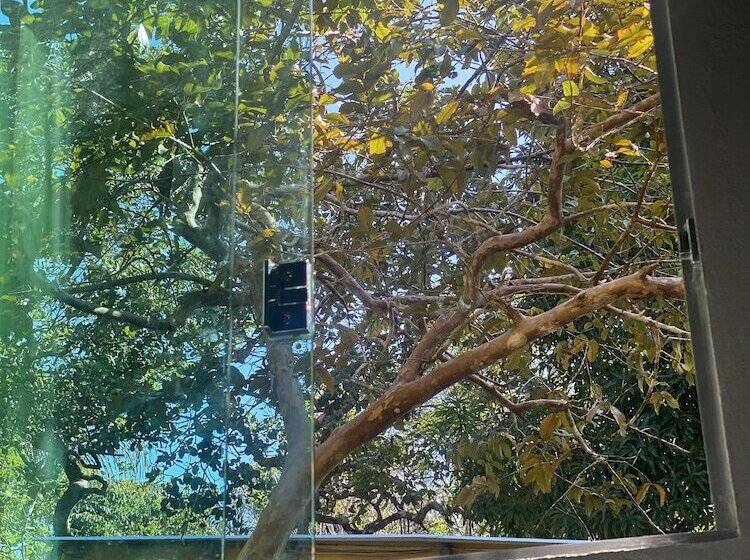 Hotel Anaconda Amazon Resort