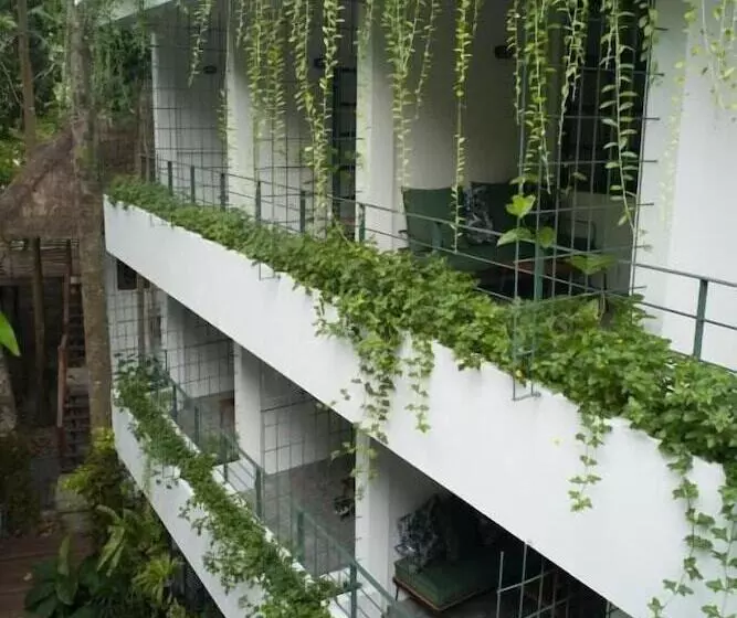 ホテル Big Tree Boutique