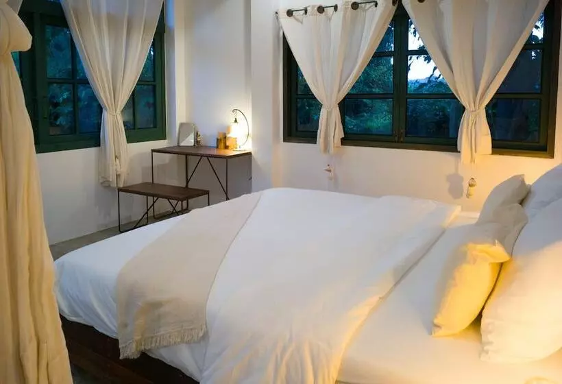 ホテル Big Tree Boutique