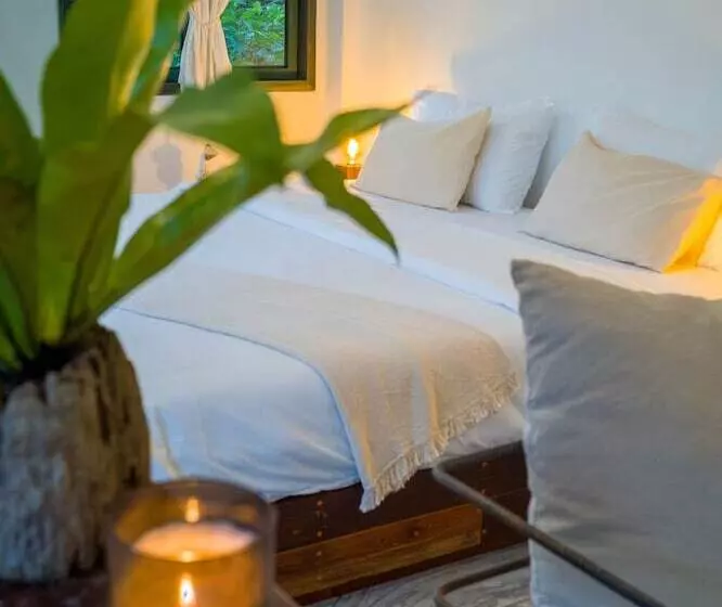 ホテル Big Tree Boutique