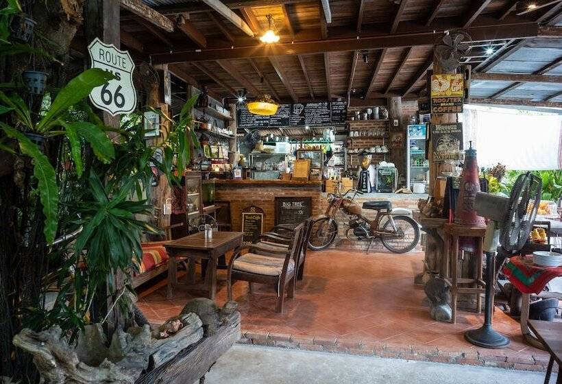 Hotelli Big Tree Boutique