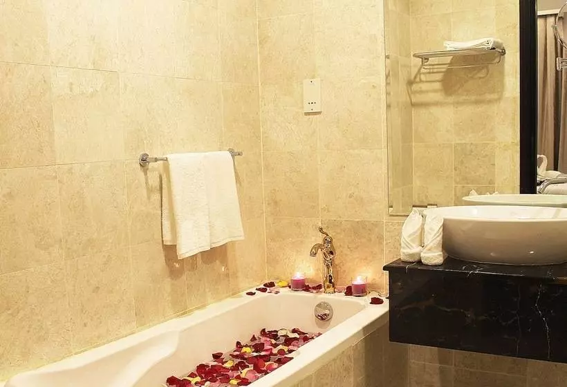 هتل Saraya Palace