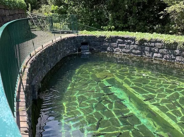 پانسیون Casa Do Ribeiro Frio