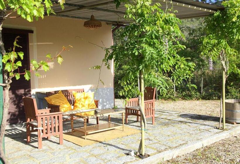 酒店 Agriturismo Dei Girasoli