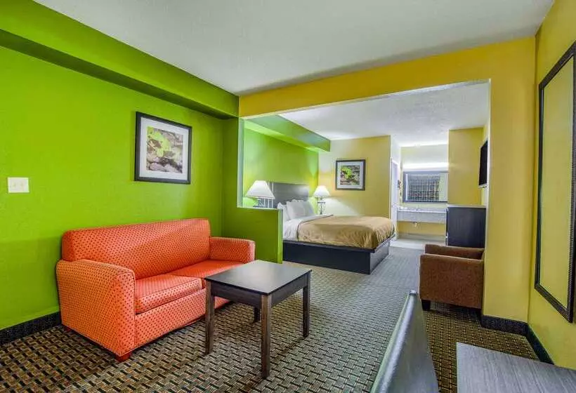 ホテル Quality Inn & Suites
