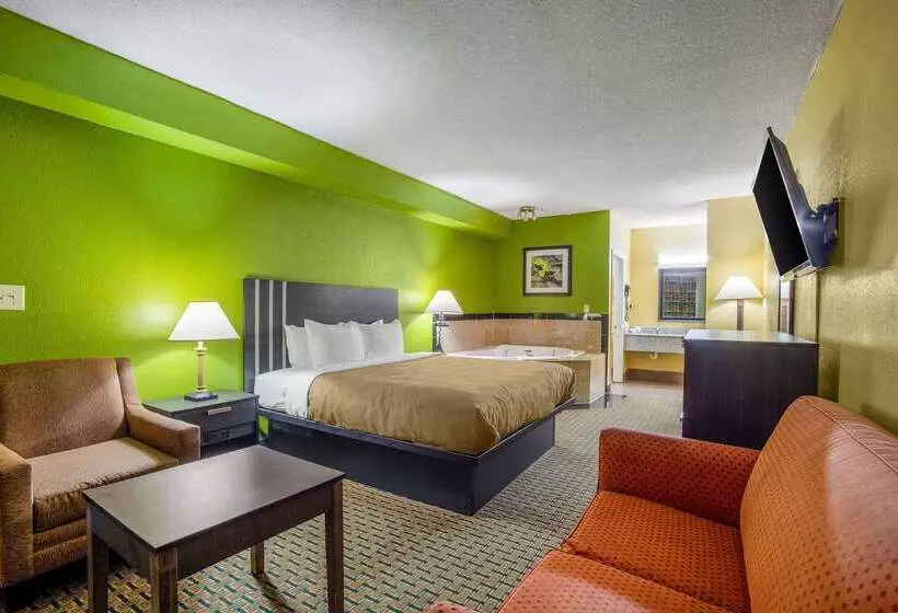 ホテル Quality Inn & Suites