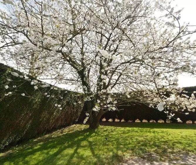 ベッドアンドブレックファースト Maison En Normandie