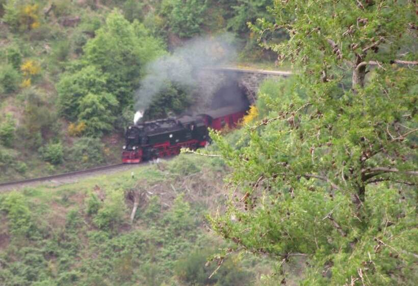 Cozy Apartment In Braunlage Near Forest