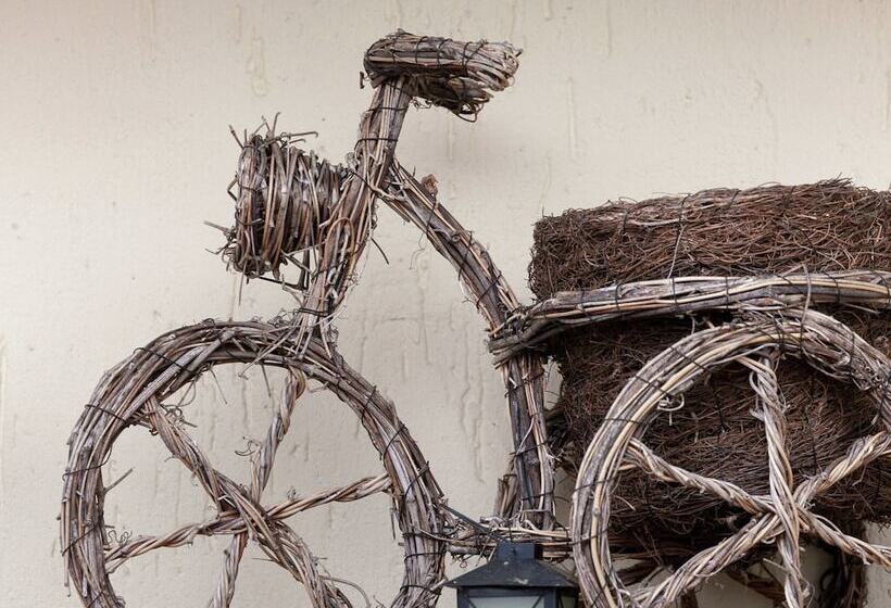 Flat In Polle Near The Forest