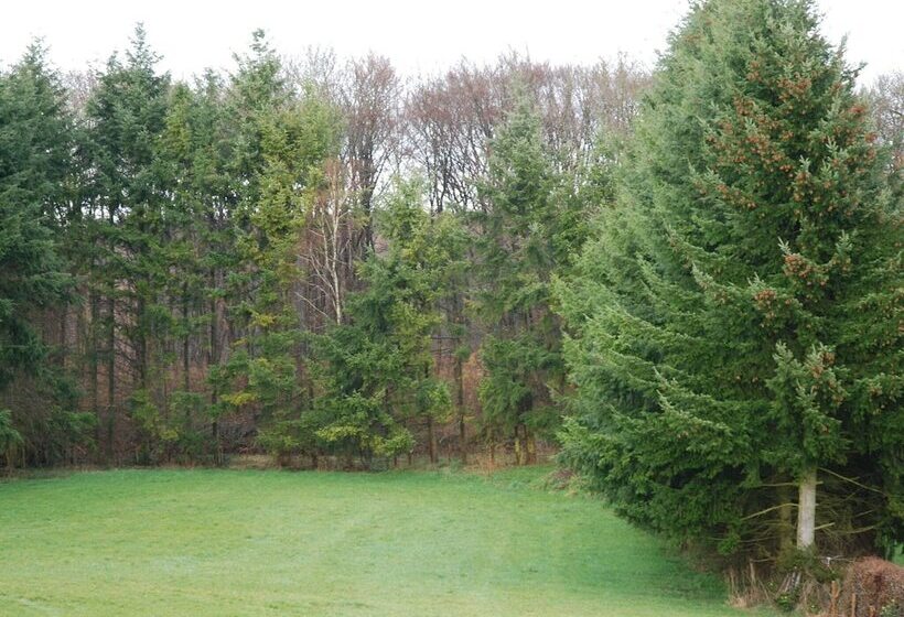 Modern Apartment In Bolsdorf With Sauna