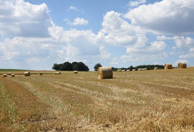 Modern Apartment In Vohl Near The Forest