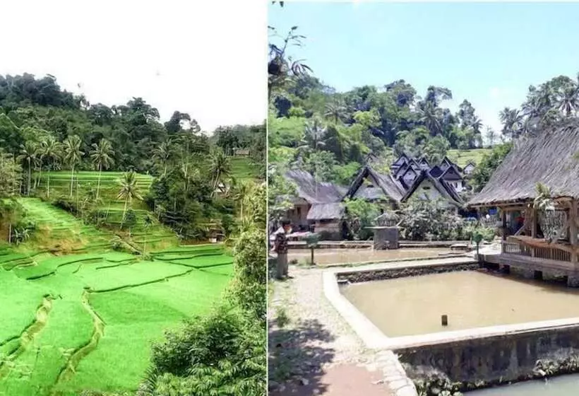 Bed and Breakfast Mandalawangi