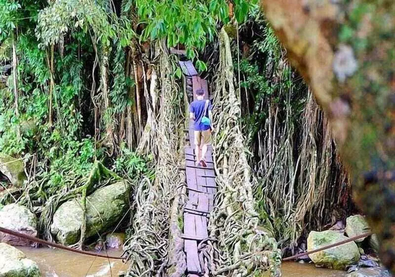 Bed and Breakfast Mandalawangi