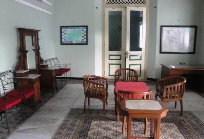 Bed and Breakfast Trio