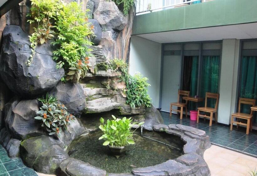 Bed and Breakfast Trio