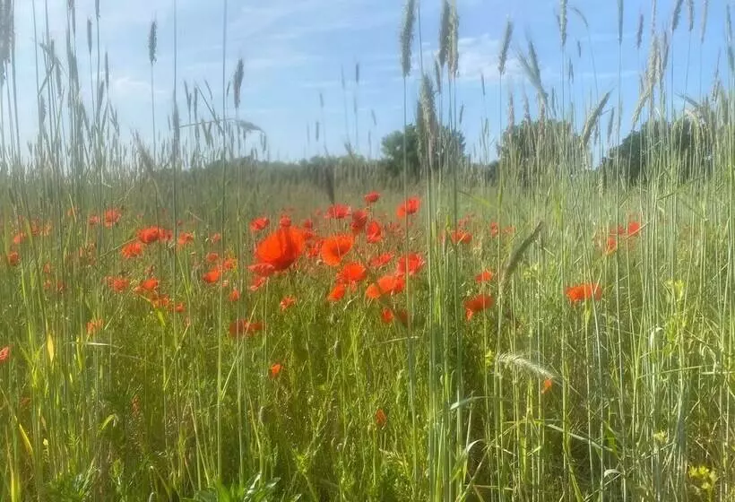 Cozy Bungalow In Werder With Garden