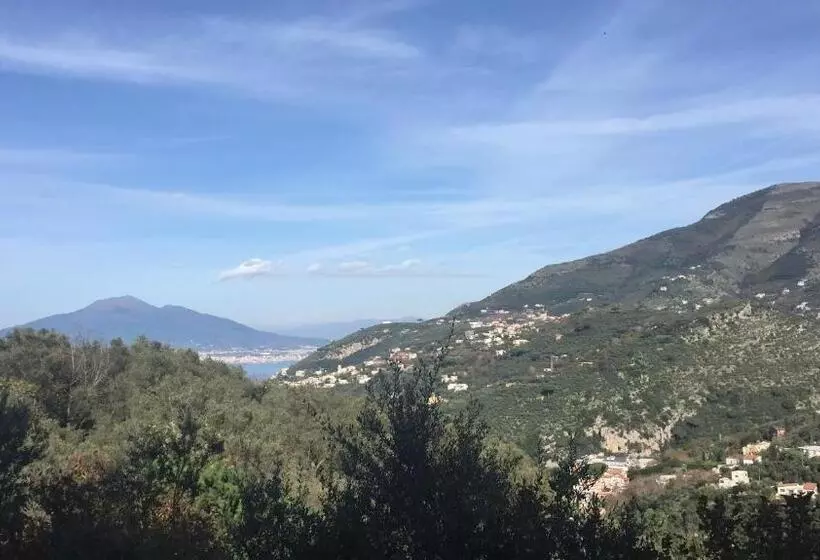 田舎風ホテル Il Casale Del Mirto