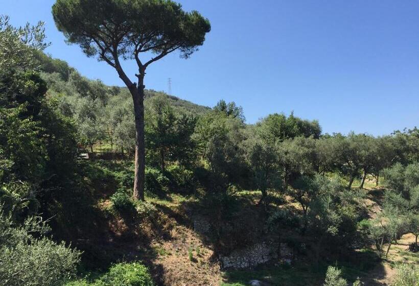 בית מלון כפרי Il Casale Del Mirto