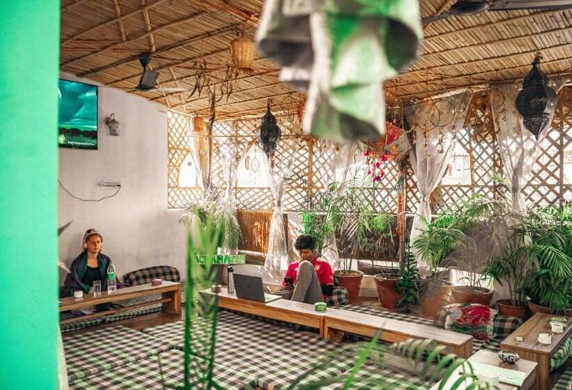 Pachamama Hostel