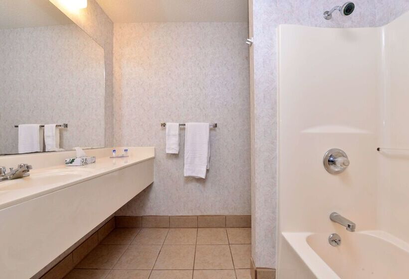 ホテル Americas Best Value Inn Knob Noster