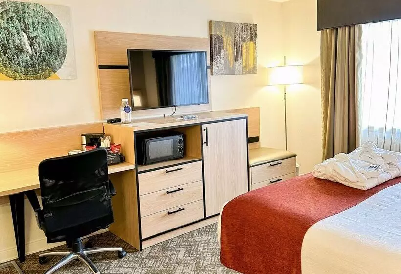 فندق Best Western Vista Inn