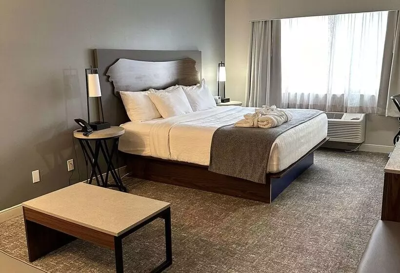 فندق Best Western Vista Inn