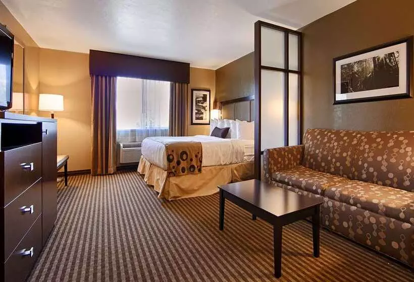 فندق Best Western Vista Inn