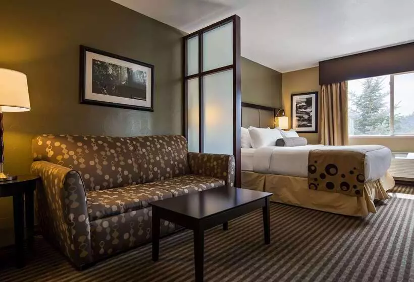 فندق Best Western Vista Inn