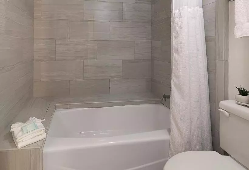 酒店 Pismo Lighthouse Suites