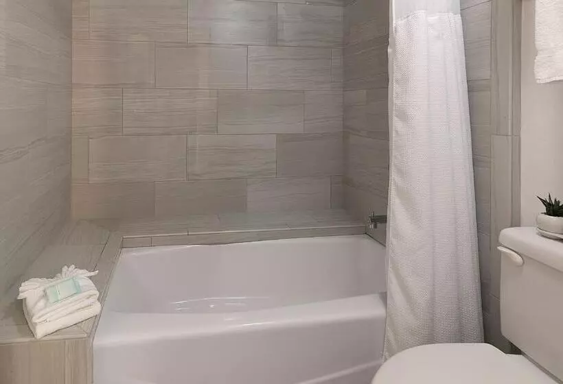 酒店 Pismo Lighthouse Suites