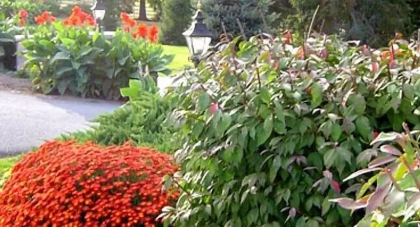 ホテル West Ridge Bed And Breakfast