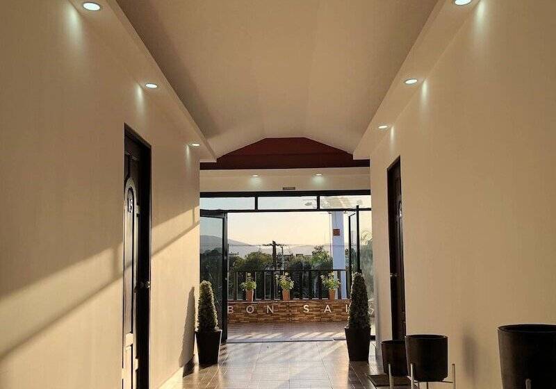 Departamentos Bonsai