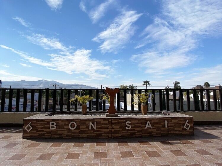 Departamentos Bonsai