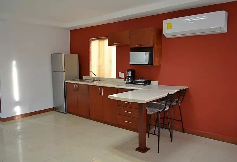 Departamentos Bonsai