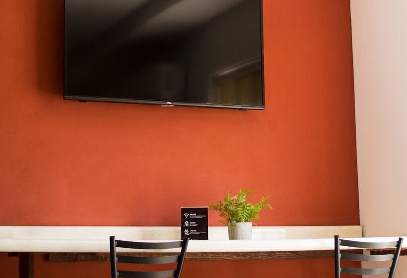 Departamentos Bonsai