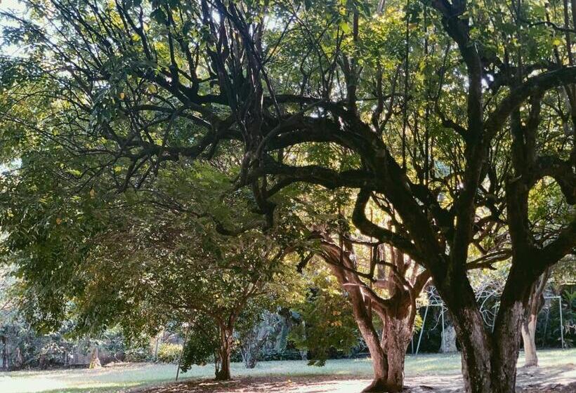 Hotel Hacienda Escondida 10min To Airport