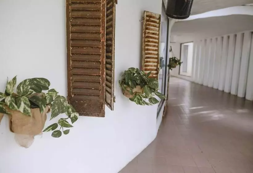 ホテル Posada Mendoza By Dot Tradition