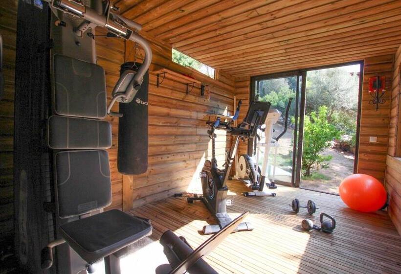 פנסיון Chambre D Hôtes A Vadina Porticcio