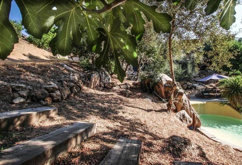 פנסיון Chambre D Hôtes A Vadina Porticcio