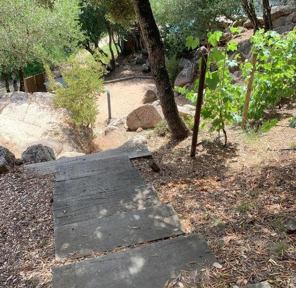 פנסיון Chambre D Hôtes A Vadina Porticcio